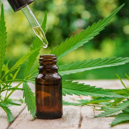 Many benefits are obtained with the properties of CBD Sleep